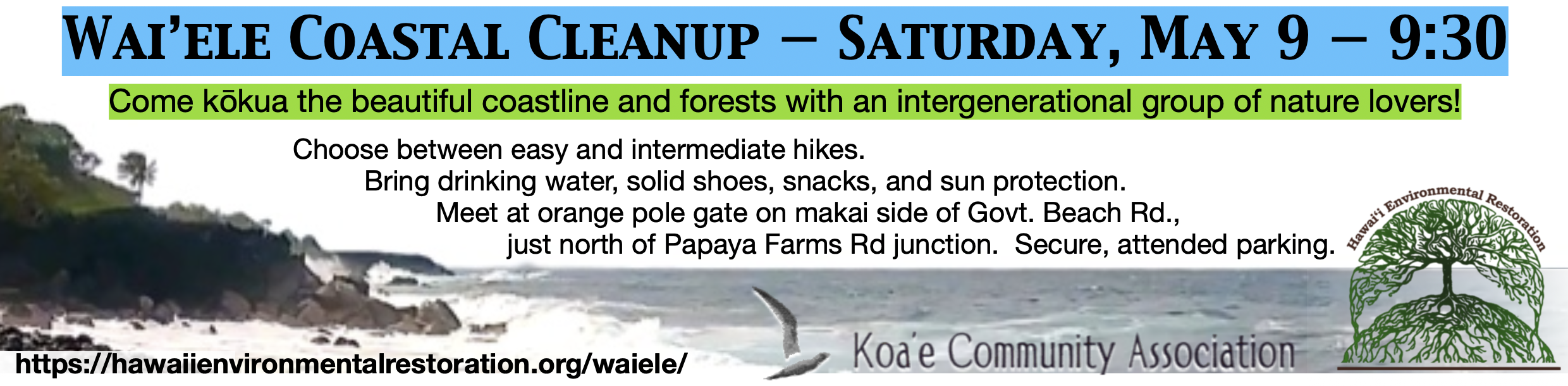 5.9.26 Waiʻele Cleanup