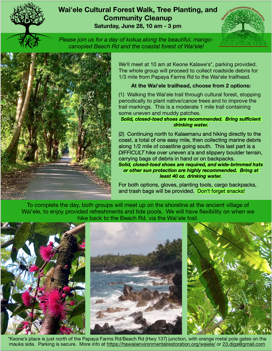 6.28.25 Waiele Cleanup 6.28.25 Waiele Cleanup