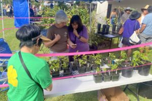 D Ward and tropical fruit growers D Ward and tropical fruit growers