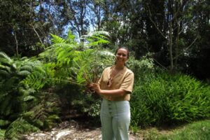 IMG_4729 IMG_4729