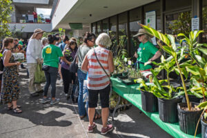 Master gardener plant sale Master gardener plant sale
