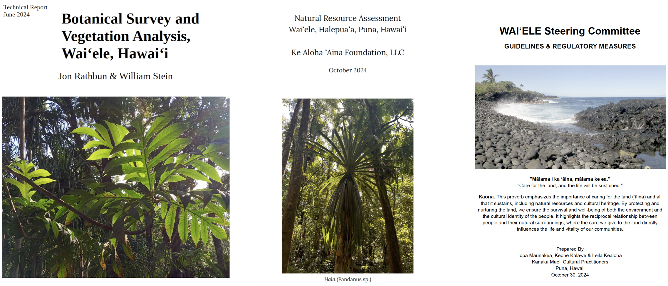 Three Mālama O Puna Studies published in 2024