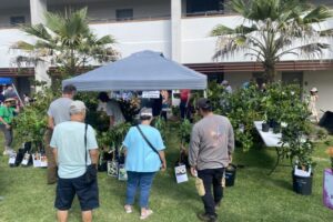 plant buyers plant buyers