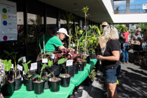 purchasing plants purchasing plants