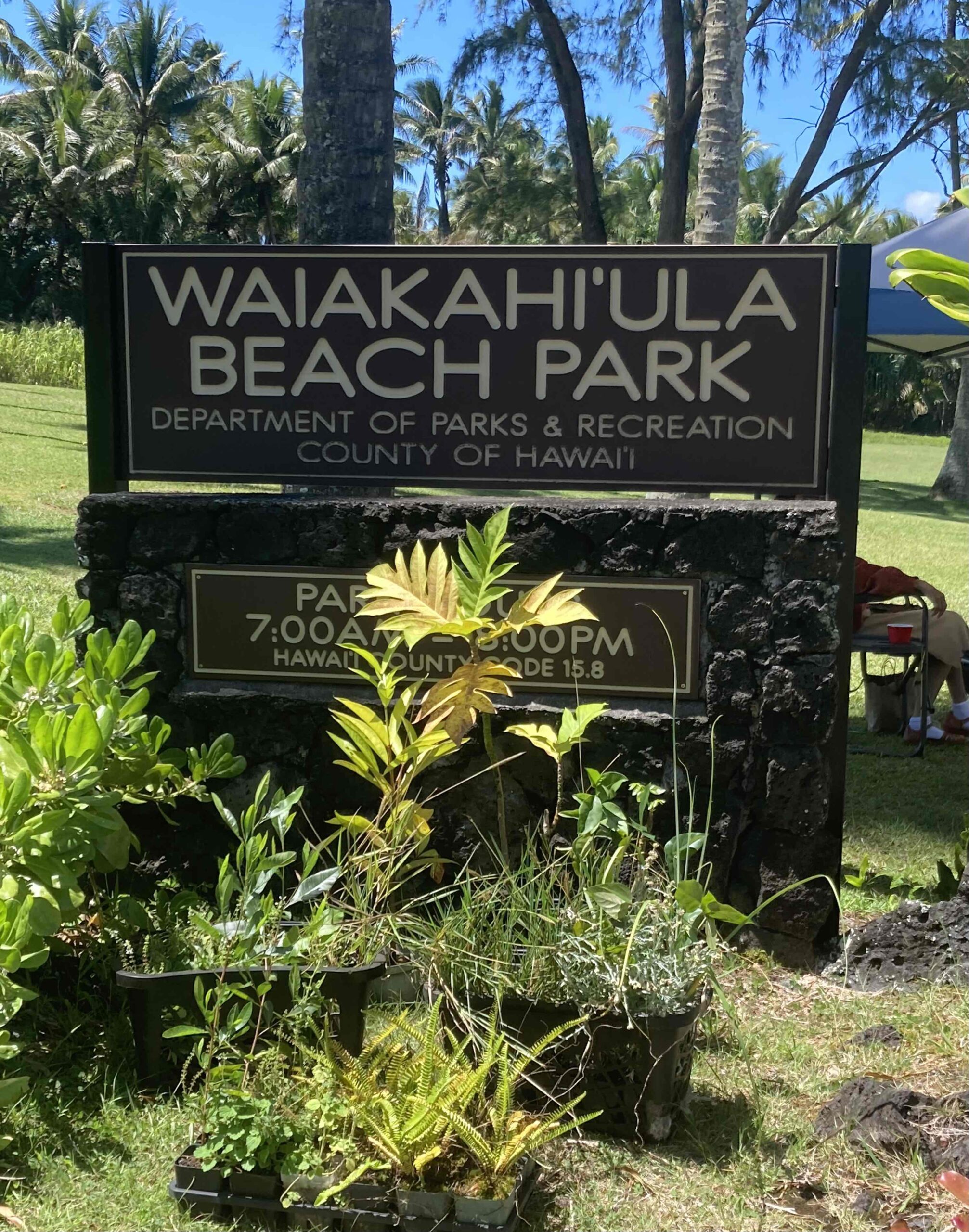 waikiahi ula